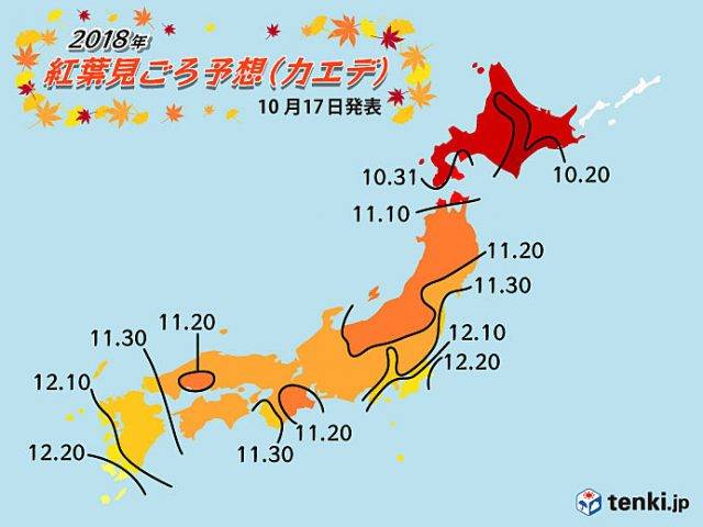 名古屋紅葉 秋天賞楓趣 不只名古屋 一次網羅愛知縣及日本中部楓葉名所 Compathy Magazine Line Today