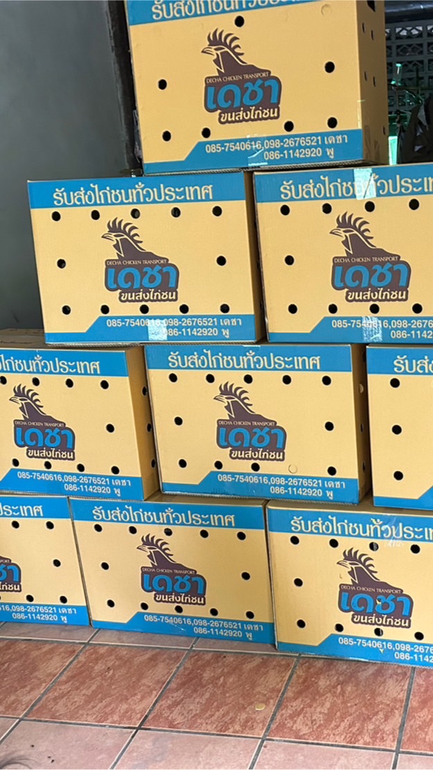 ตลาด ซื้อขายไก่ชน ทุกสายพันธุ์ ปลอดภัยผ่านแอดมิน