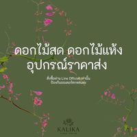 Kalika.floral กลุ่มอัปเดตราคาดอกไม้