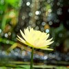 心理学やカウンセリングに興味ある方向けの部屋