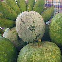 ผู้ค้าพบผู้ซื้อตลาดคุณปู่วัดหทัยนเรศวร์