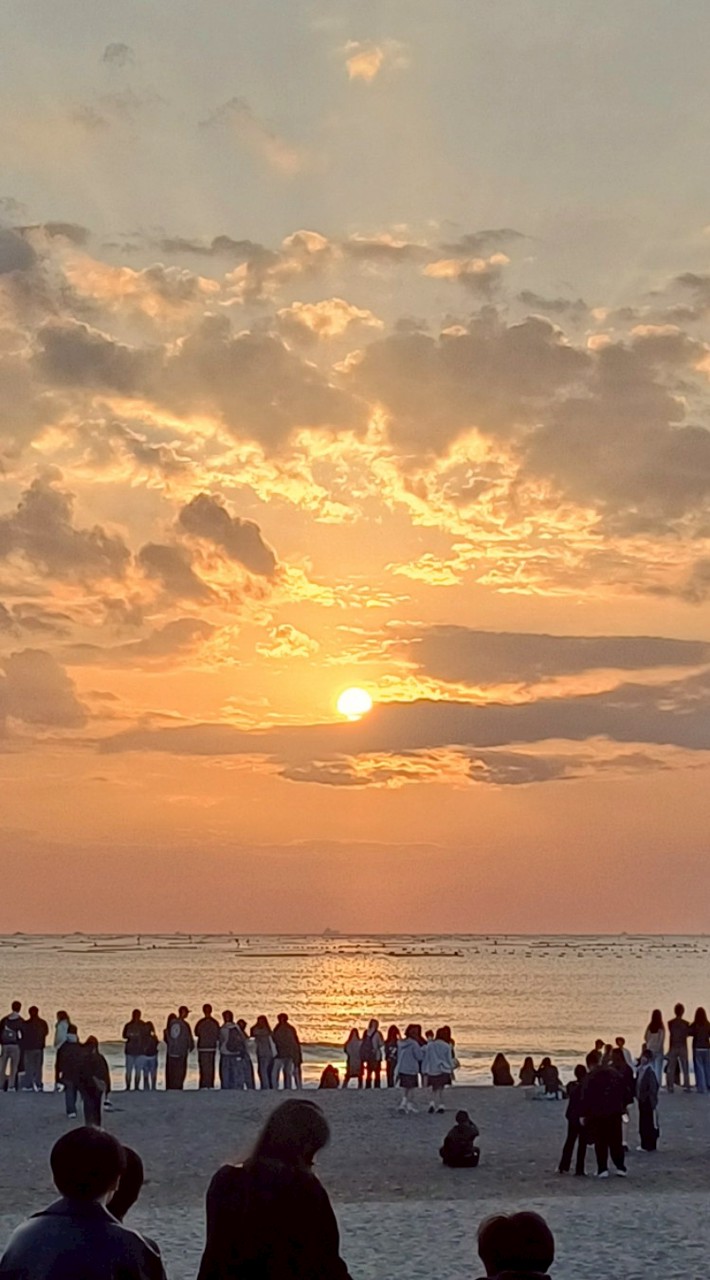 台灣酷企鵝環島包車
