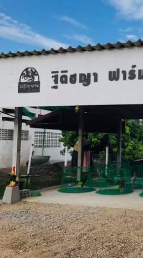 ซุ้มฐิติชญาฟาร์ม(ทีมงาน​ ส.ดอยแก้ว)​เชียงใหม่