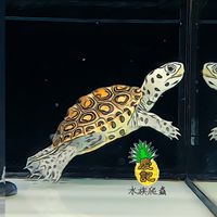 慶記水族爬蟲館
