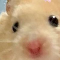 なんでもあり