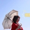 栢本てのちゃんのファンクラブ(非公式)