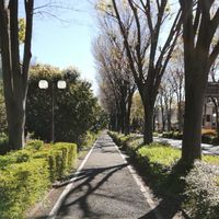所沢と私たち