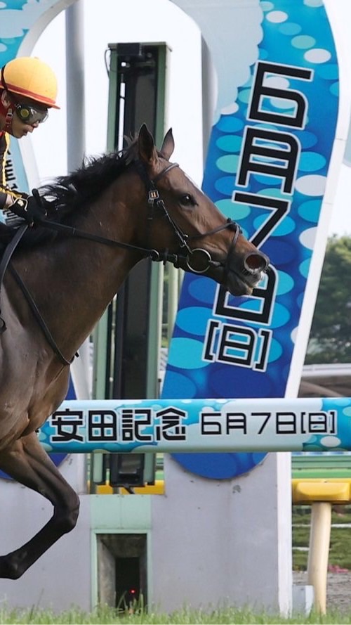 金堀競馬研究所（旧:マーリン競馬） 🐎 OpenChat