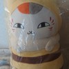 猫好きの楽しく話をするお部屋