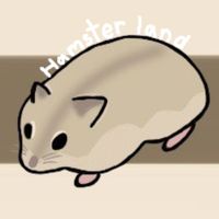Hamster Land 🐹