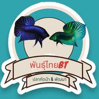Phanthaibetta (พันธุ์ไทยBT)