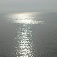 海洋研究会  危険生物勉強 増設枠