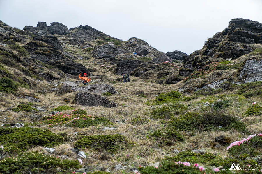 山女孩MelissaxMao冒險生活_奇萊主北_奇萊北峰主峰三天兩夜登山紀錄-148.jpg