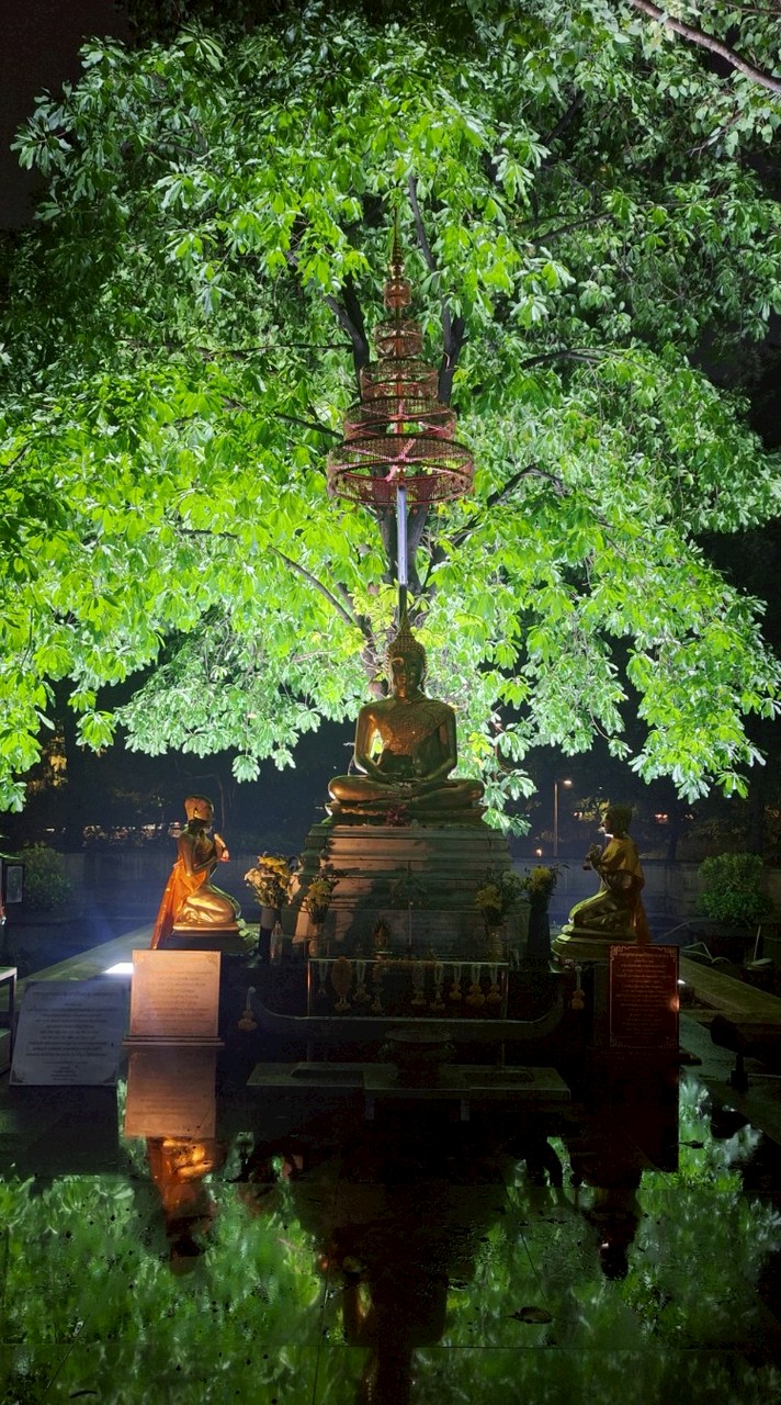 負離子~淨化社會風氣