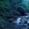 負離子~淨化社會風氣