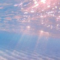 歌を歌いたい人来てください！！