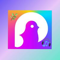 🥳ポケカラ🥳