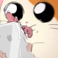 まじ🫲🏻🫱🏻ぎゅん👊🏻ぎゅん👊🏻ぎゅん👊🏻‼️緩過ぎて滅🤞🏻⁉️ 全緩也 ‼️