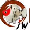 JW Molly fish