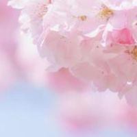 たまひよ3月生まれの会