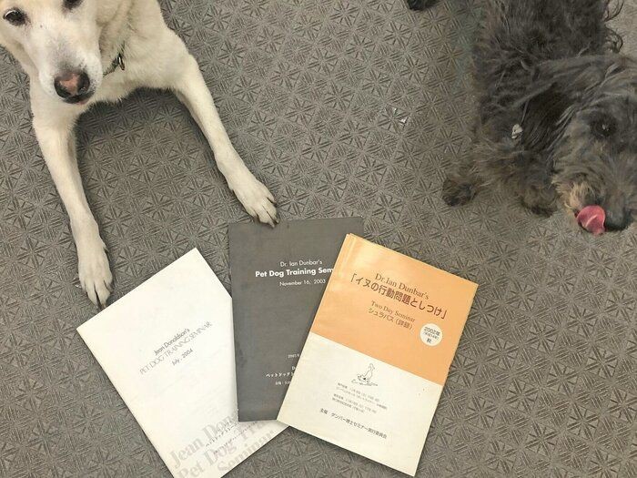 犬の体のスゴイ機能