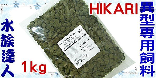 【水族達人】日本Hikari《 高夠力 異型專用片狀營養飼料 大粒 1kg 21366》異型飼料 沉水性 日本製造