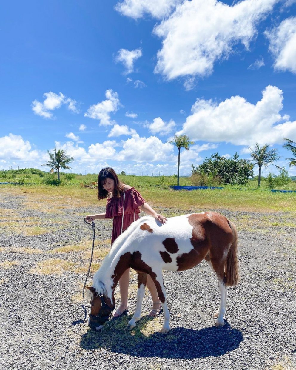 墾草趣 @chuan 0429