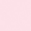 study with kon thai 🍮