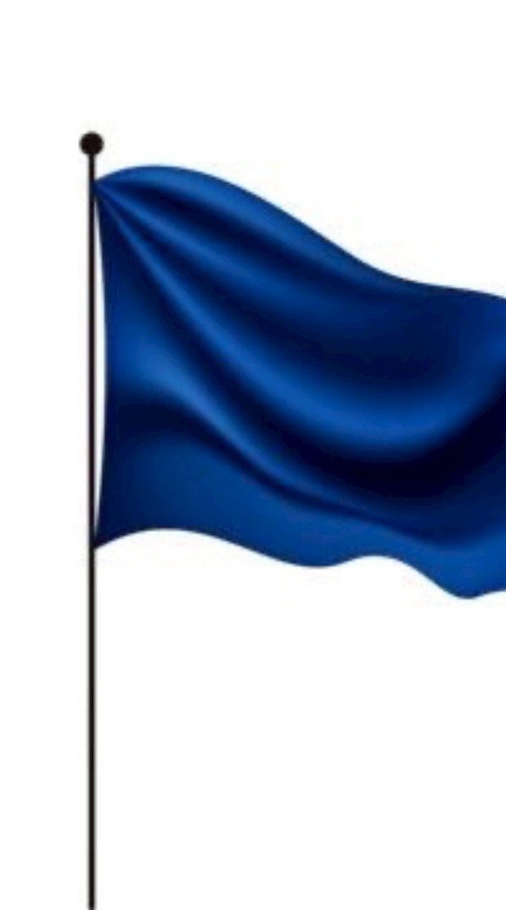 Colour guard Of BLUE