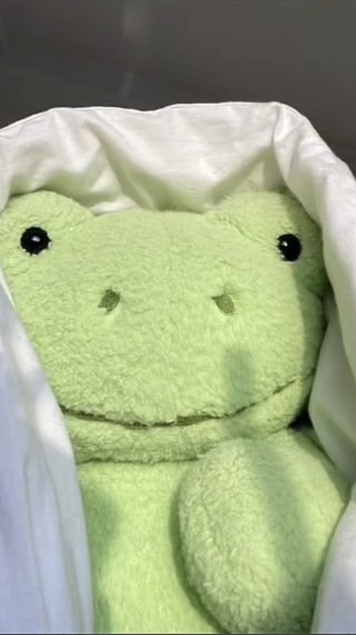 《抽象的芷·詠杏追星商店✌︎》免宣拐