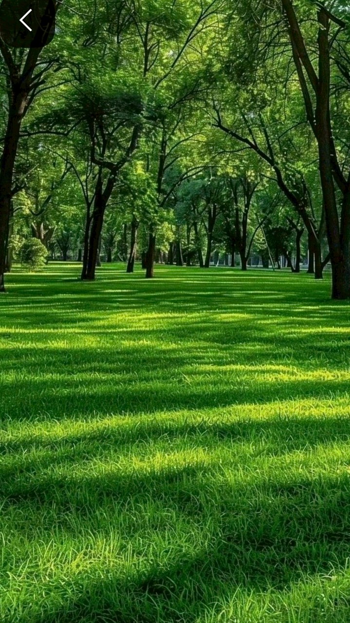 熟齡退休生活分享群（單身.中部以北）