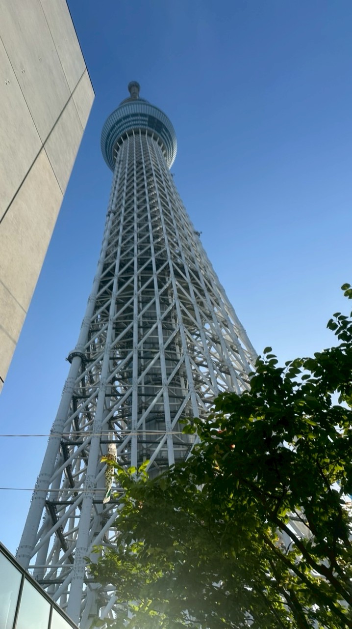 511華航東京7日團
