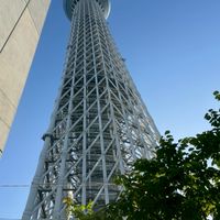 511華航東京7日團