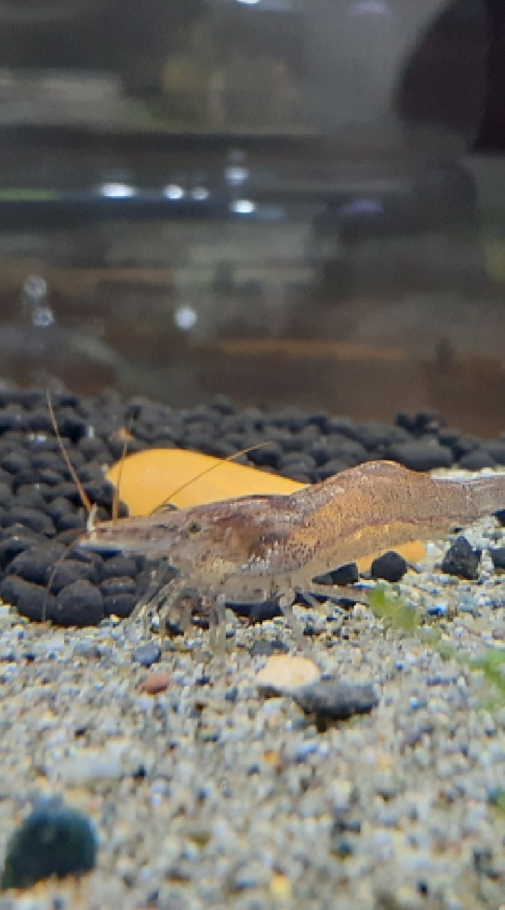 アクアリウムAQUAのオープンチャット