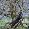クロスバイク初心者の集い
