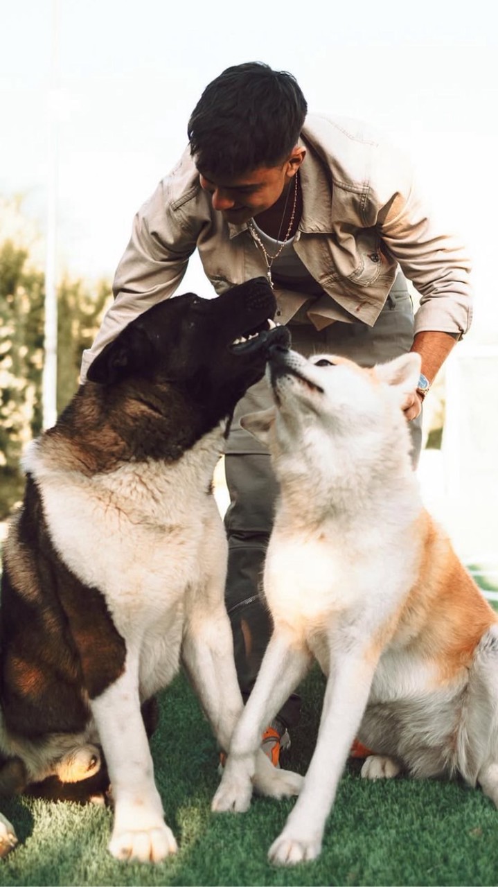 ラキスタ