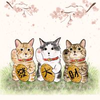 四季有貓🐈