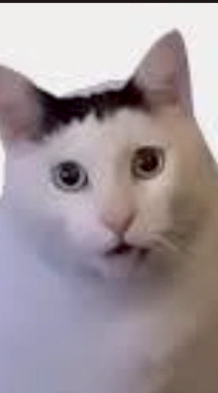 หาคนเล่น Roblox คับ