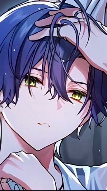 シクフォニさん好き専用！
