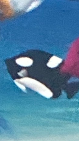 漏オプ