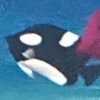 漏オプ