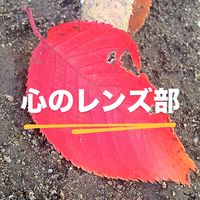 心のレンズ部10days秋冬編🍂