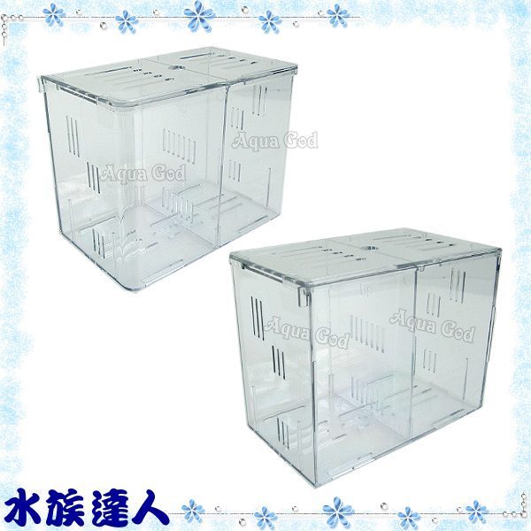 【水族達人】湯姆TOM《水中隔離盒》鬥魚盒 方便您飼養鬥魚！。寵物用品人氣店家水族達人的首頁有最棒的商品。快到日本NO.1的Rakuten樂天市場的安全環境中盡情網路購物，使用樂天信用卡選購優惠更划算