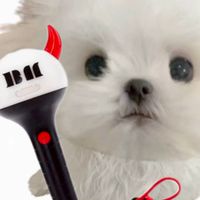 Baby mon ster 粉絲團