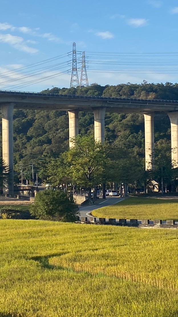 中部（非中部）景點旅遊
