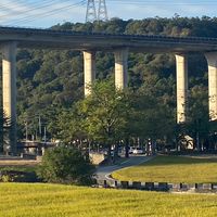中部（非中部）景點旅遊