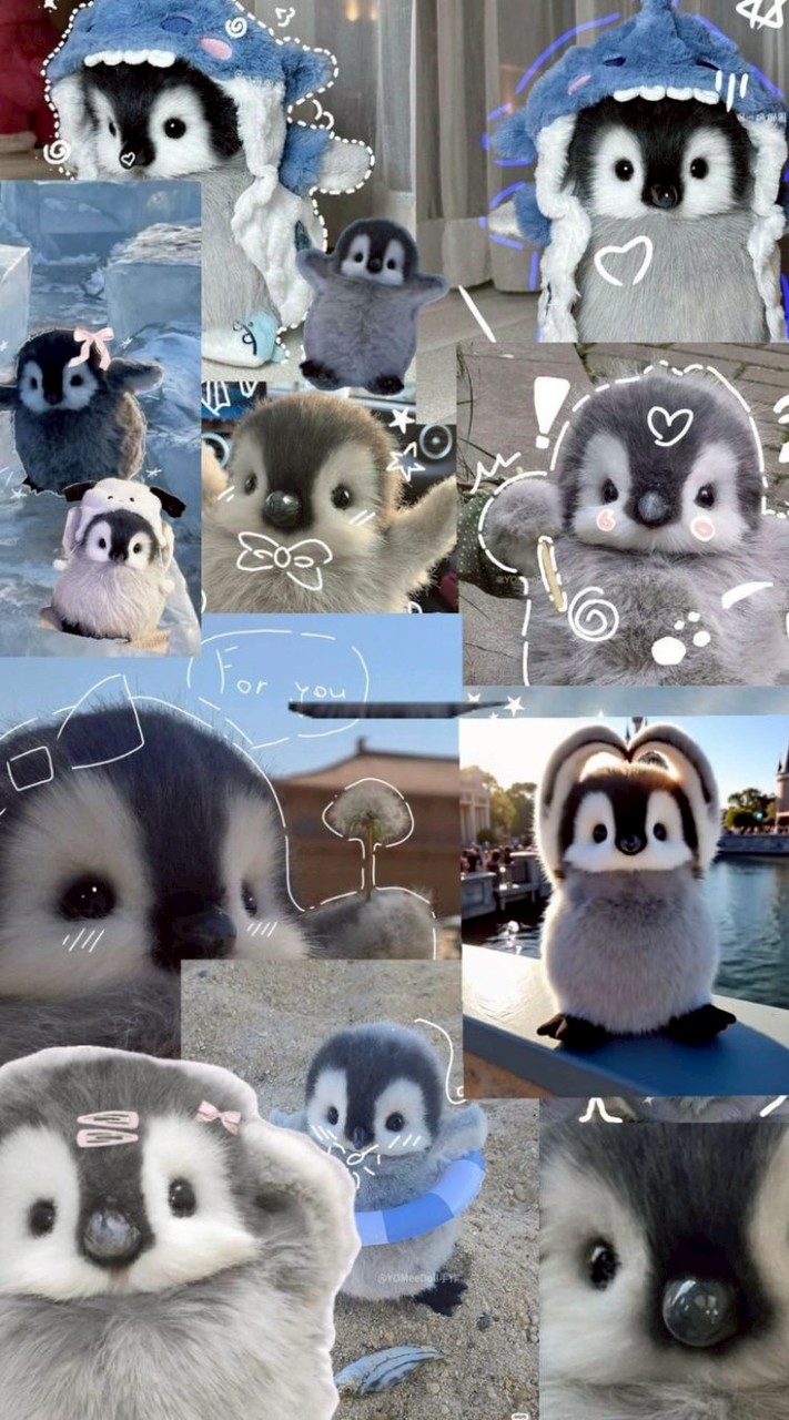 ⋆. 𐙚 ˚น่ารัก⋆. 𐙚 ˚໒꒰ྀི๑ᵔ ᵕ ᵔ๑꒱ྀིა