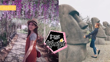 花開的季節來了，浪漫唯美的紫藤花，台灣也有哦~還有可愛的摩艾像在附近呢！