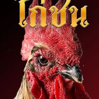 ดูไก่ชน