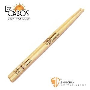 Richie Ramone即將在2013年推出個人專輯。